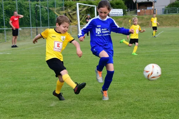 02.06.2023 FSV Schleiz vs. VfR Bad Lobenstein