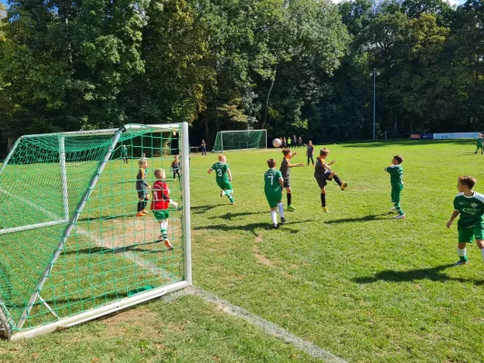 24.09.2023 SG Union Isserstedt vs. FSV Schleiz