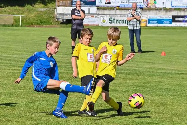 08.06.2024 FSV Schleiz II vs. SV BW Neustadt III