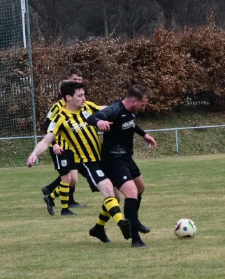 29.03.2025 FSV Schleiz vs. FC Fahner Höhe