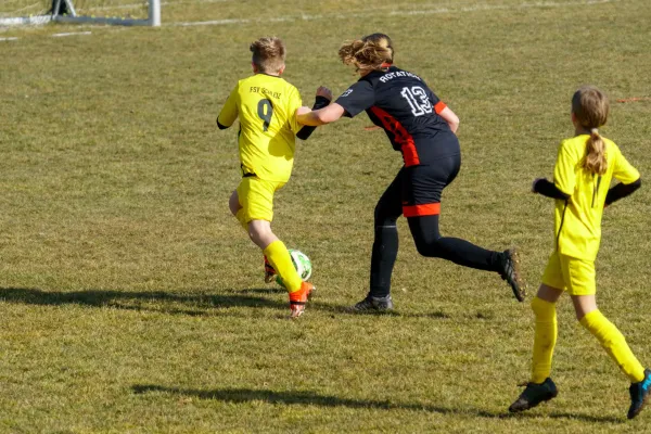 08.03.2025 Rosenthal II vs. FSV Schleiz II