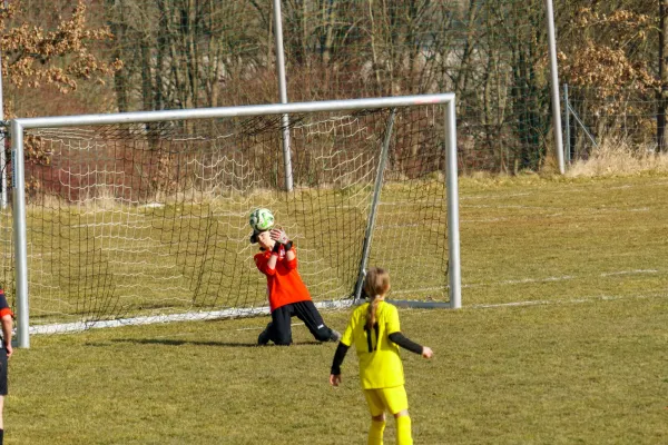 08.03.2025 Rosenthal II vs. FSV Schleiz II