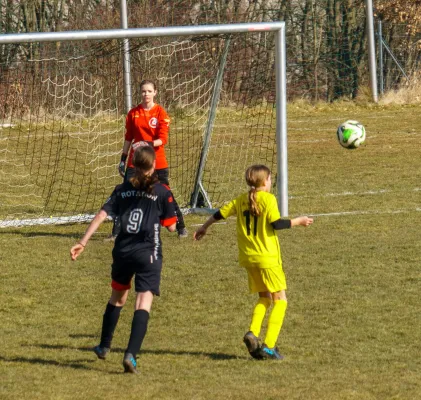 08.03.2025 Rosenthal II vs. FSV Schleiz II