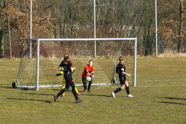 08.03.2025 Rosenthal II vs. FSV Schleiz II