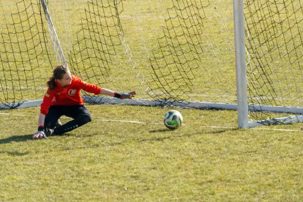 08.03.2025 Rosenthal II vs. FSV Schleiz II