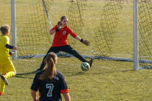 08.03.2025 Rosenthal II vs. FSV Schleiz II