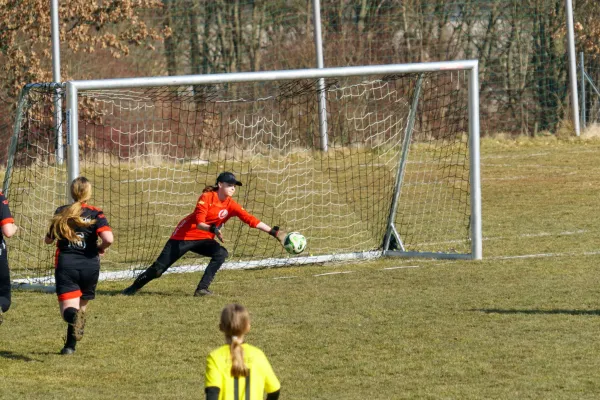 08.03.2025 Rosenthal II vs. FSV Schleiz II