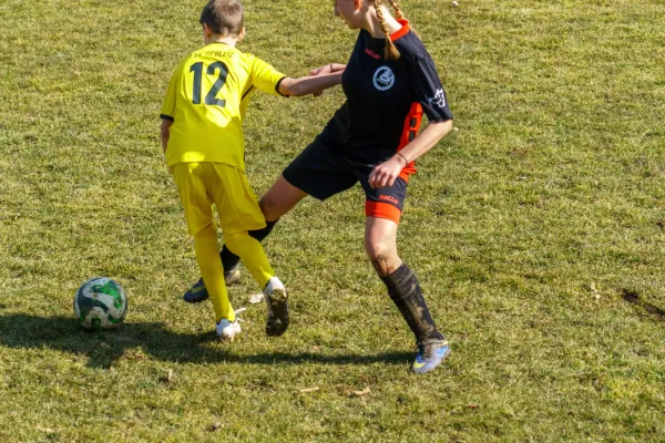 08.03.2025 Rosenthal II vs. FSV Schleiz II