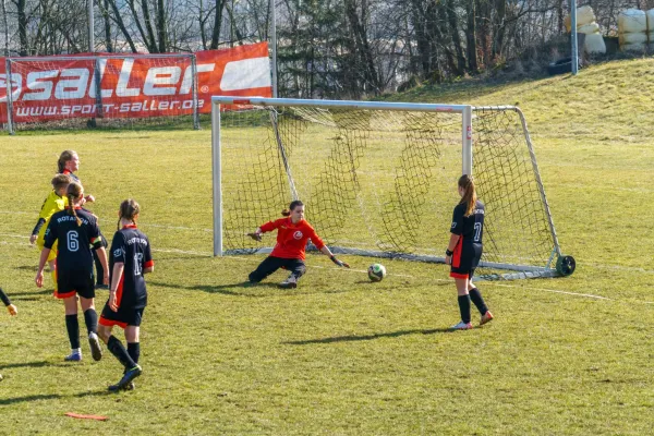 08.03.2025 Rosenthal II vs. FSV Schleiz II