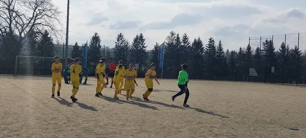 02.04.2025 SV Grün-Weiß Tanna vs. FSV Schleiz II