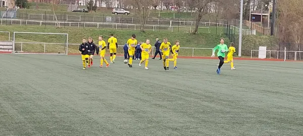 30.03.2025 JFC Saale-Orla II vs. FSV Schleiz II