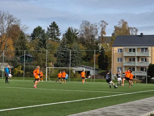 01.11.2025 FSV Schleiz vs. BSG Wismut Gera