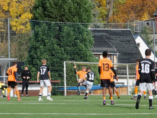 01.11.2025 FSV Schleiz vs. BSG Wismut Gera