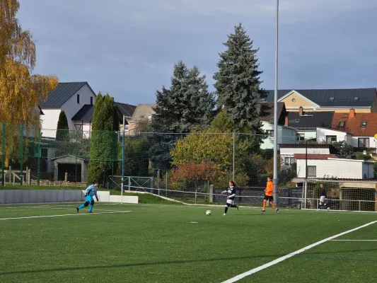 01.11.2025 FSV Schleiz vs. BSG Wismut Gera