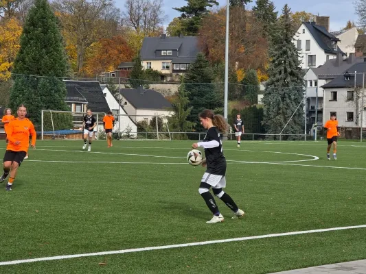 01.11.2025 FSV Schleiz vs. BSG Wismut Gera